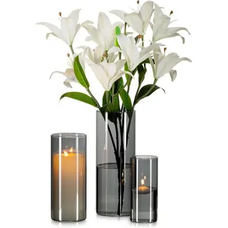 LuxusKollektion Glas Graue Glasvase Zylinder Vase Rund 3er Set Moderne Wohnzimmer Deko