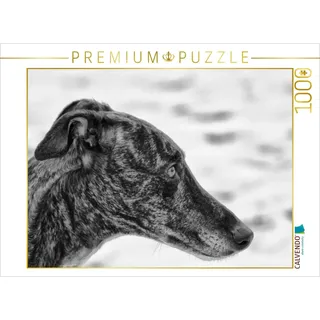 Calvendo Verlag GmbH Windhund Profil 1000 Teile