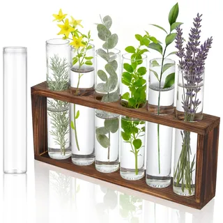 7 Stück Durchsichtige Reagenzglas, 30X150mm Reagenzglas Glas, Glasröhrchen, Reagenzgläser Blumenvase, Reagenzgläser mit ständer Holz für Blumen, Gewürze, Küche Deko, Flüssigkeiten Zum und Selbermachen