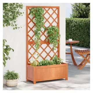 vidaXL Garten-Spalier mit Blumenkasten 70 x 30 x 135 cm Braun