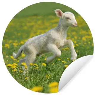 MuchoWow Wandsticker Schafe - Blumen - Gelb (1 St), Runde Aufkleber für Wohnzimmer, Selbstklebend, 100x100 cm bunt 100 cm x 100 cm x 0.1 cm