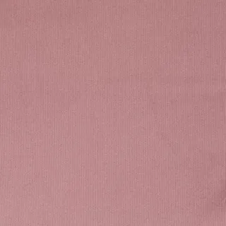 StoffBook Altrosa Baumwollcord Cord Cordstoff für Bekleidung und Taschen | Elastisch und hochwertig, Stoff für Bekleidung, Taschen und Dekoration, Babycord und Rippencord
