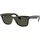 902 50-22 gloss tortoise/green