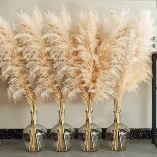 20 Pampas Grass XXL, Deko Gross für Boho Deko, Wohnzimmer, Schlafzimmer, Hochzeit, Bad (100cm)