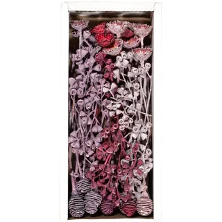 Exoten Sortiment Exotica II - Exoten Afrika - 50 Stück Floristenpackung - Frosted - Naturmaterialien für würdevolle Trauerfloristik & Dekoration (Lavendel)