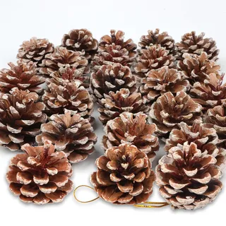 24 Stück Weihnachten Tannenzapfen Dekoration Natürliche Mini Hängen Schnee Kiefernzapfen Tannenzapfen Ornamente Set Mit Schnur zum Basteln für Weihnachtsbaum Herbst Winter Weihnachtsfeier DIY Basteln