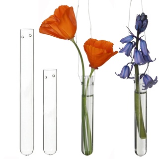 12 Reagenzgläser für Blumen zum hängen, Reagenzglas Vase mit Loch zum aufhängen, Fensterdeko hängend, Hochzeitsdeko, Tulpenvase Glas, Blumen Vasen Deko, Hängevase Glas (15 cm)