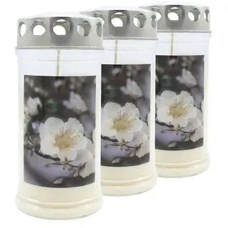 JEKA-Motivkerze "Pfirsichblüte", 100% Pflanzenöl, Brenndauer bis 4 Tage, 75/170 mm, 3 St.