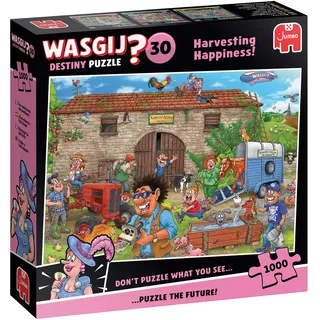 JUMBO Spiele Wasgij Destiny 30 - Puzzle 1000 Teile