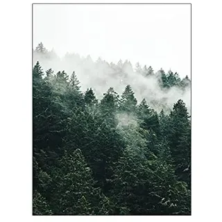 ABCWARRT Berg Nebelwald Bild Naturlandschaft Skandinavisches Poster Nordische Dekoration Landschaft Druck Wandkunst Leinwand Malerei (50 * 70cm Kein Rahmen,5)