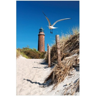 Wallario Glasbild, Möwe am Strand mit Leuchtturm, in verschiedenen Ausführungen braun