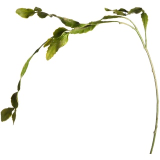 Zweig Kaktus, L:1m, grün