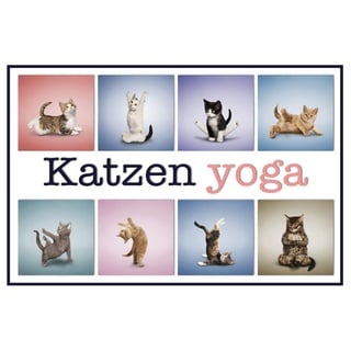 Schatzmix Katzen Yoga 1 Metallschild Wanddeko 20x30 cm tin Sign Blechschild, Blech, Mehrfarbig