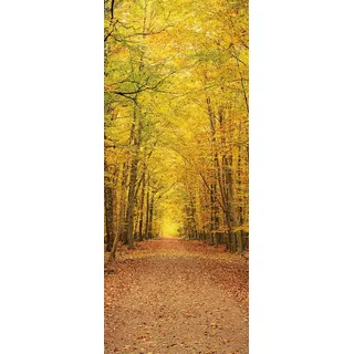 A.Monamour Türtapete Selbstklebend Türfolie Türposter 3D Weg Im Herbstwald Vinyl Folie Türdeko Tapete Wandbild Türaufkleber Türtattoo 85 x 200 cm