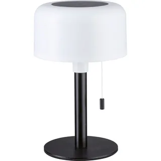 Paulmann Solarleuchte Kunststoff 13,7 cm IP44 1 Stk. Schwarz