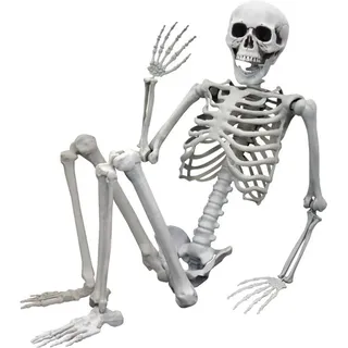 MikaMax Skelett - Realistisch | 155 cm - Halloween-Dekoration