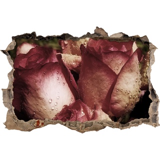 Pixxprint 3D_WD_S1971_92x62 Rosenblüten bedeckt mit Tropfen Wanddurchbruch 3D Wandtattoo, Vinyl, bunt, 92 x 62 x 0,02 cm