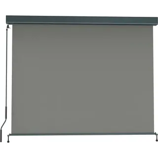 Senkrechtmarkise Balkon 160x250cm Markise mit Kassette Sichtschutz Outdoor Anthrazit Grau paramondo Senkrechtmarkise 2000 - Grau