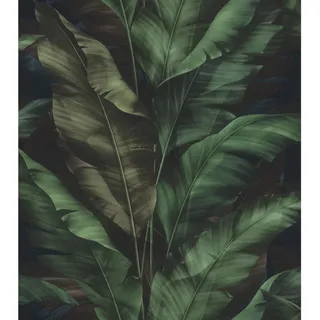 Rasch Textil Rio Blatt 6 m x 0,53 m Selbstklebende Vliestapete Grün/Schwarz 370034