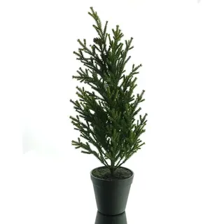 Weihnachtsbaum Konifere Grün im Topf 60 cm - Kunststoff