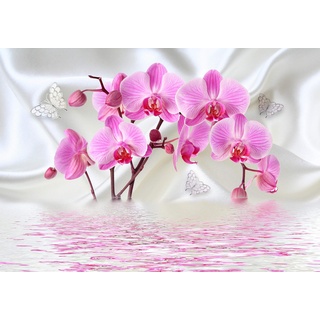wandmotiv24 Fototapete Orchideen Schmetterlinge wasser Seide, XL 350 x 245 cm - 7 Teile, Wanddeko, Wandbild, Wandtapete, Blumen Reflektiert Stofftuch M4661