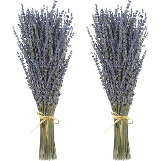 2 Stück Trockenblumen,Getrockneter Lavendel ca.40cm - Lavendelblüten aus der Provence Lavendelstrauß Lavendelbund Trockenblumen Boho Deko