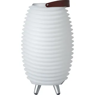 Kooduu Synergy 35 2.0 - beleuchteter Weinkühler mit Musik"