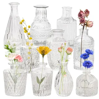 10er Set Kleine Vasen für Tischdeko, Mini Vasen Set, Vintage Glasvasen, Kleine Vase Glas, Blumenvase Klein, Knospenvase für Tischdeko Mittelstücke, Hochzeitsdekorationen Transparent