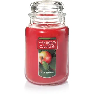 Yankee Candle Macintosh Housewarmer 625g