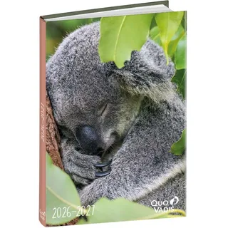 Quo Vadis Schülerkalender Forum Tiere Koala 2026 / 2027