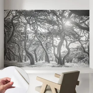 Selbstklebend Tapete Modern - Wanddeko Für Küche - Klebefolie Wand - Luxus Look Stimmungsvoller Wald 104x70 Cm
