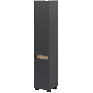 Schildmeyer Hochschrank Cosmo (anthrazit, 1-türig (Breite 30,2cm))