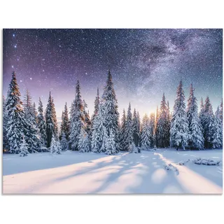 Wandbild ARTLAND "Tannenwald im Schnee vorm Sternenhimmel", blau (farbe bild(er): blau), B:40cm H:30cm, Bilder, als Alubild, Leinwandbild, Poster in verschied. Größen