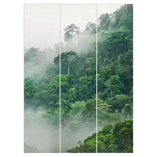 Bilderdepot24 Schiebegardine modern Flächenvorhang blickdicht Dschungel im Nebel (3 St), halbtransparent, Wohnzimmer große Flächengardine lichtdurchlässig als Klemm-System grau 180 cm x 250 cm