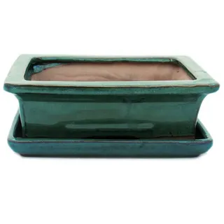 Exotenherz Pflanzschale Bonsai-Schale mit Unterteller Gr. 3 - Grün eckig Modell G29 - L 18cm (1 St)