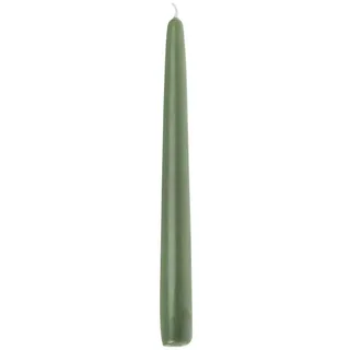 Wiedemann Kerzen Spitzkerzen 240/24 mm 12 St. Salbei