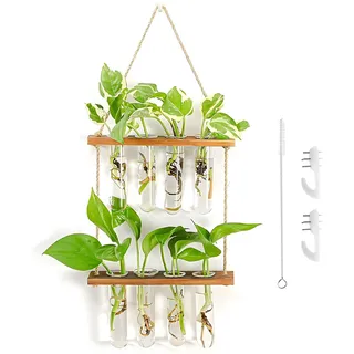 Hängende Propagation Station Wandvase - Reagenzglas Vase - Vermehrungsstation - Ableger Pflanzen Glas Für Hydrokultur Pflanzen - Vintage Dekovase Mit Holzregal Für Wohnzimmer Küche - 8 Rohr 2 Stufen