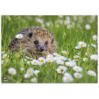 Veloflex Schreibunterlage Igel 50 x 35cm Transparent