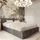 POLSTERBETT Polsterbett mit Bett mit Bett 120x200 Bett mit Graphit Grau