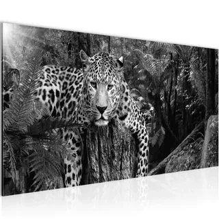 Runa Art Wandbild Afrika Leopard 1 Teilig 100 x 40 cm Modern Bild auf Vlies Leinwand Tiere Wohnzimmer Schlafzimmer Schwarz Weiss 003512c