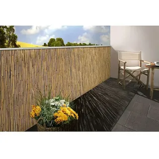 Gardol Schilfrohrmatte  (600 x 100 cm, Geeignet für: Sicht- und Windschutz)