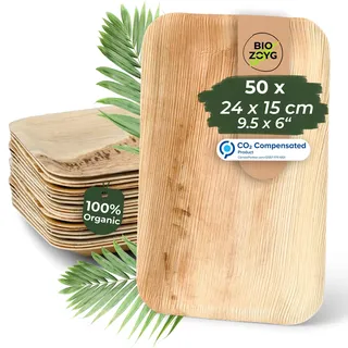 BIOZOYG Einwegteller 50 Stück 24 x 15 cm - Palmblatt Teller Wegwerfgeschirr rechteckig & kompostierbar - Einweg Partygeschirr, Alternative zu Plastiktellern