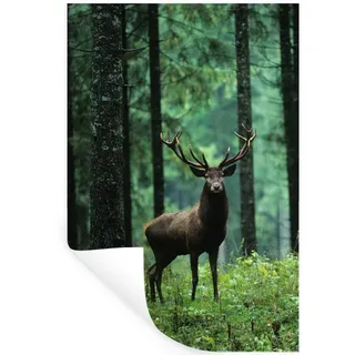 MuchoWow Wandsticker Hirsche - Wald - Bäume - Tiere - Natur (1 St), Wanddeko, Aufkleber, Wandtattoo, 80x120 cm bunt 80 cm x 120 cm x 0.1 cm
