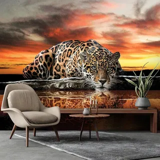 kfjhgbdshhj Foto Leopard Jaguar Tiere Afrika Safari Orange Wohnzimmer Schlafzimmer Vliesstoff,430cmx300cm Poster-Wandplakat-Ohne-Freischnitt-Leinwand