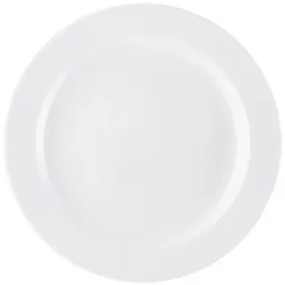 Rosenthal Speiseteller 25 cm Weiß