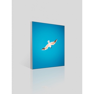Akustikbild "Vogel im Himmel" - Alurahmen , 100x100 cm , 40mm