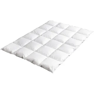 Bielefelder Bettfedern Kassettendecke - 155 x 220 cm - Federn