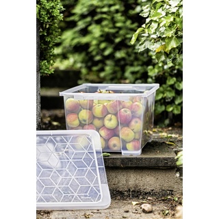 Rotho Aufbewahrungsbox EVO Easy 44 L transparent 58,3 x 39,2 x 27,7 cm