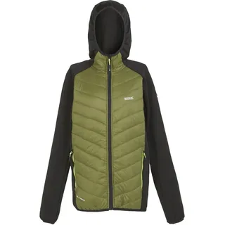 Regatta Andreson VIII Hybrid Softshelljacke Herren sehr leicht, Größe:XL, Farbe:Oliv - Grün - XL
