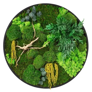 ECD Germany Moosbild Rund Ø 60 cm, Mooswand Indoor echter Kugel-, Island- und Flachmoos-Mix & Ästen, Wanddeko mit Holzrahmen, Wandbild für Haus ... - Grün